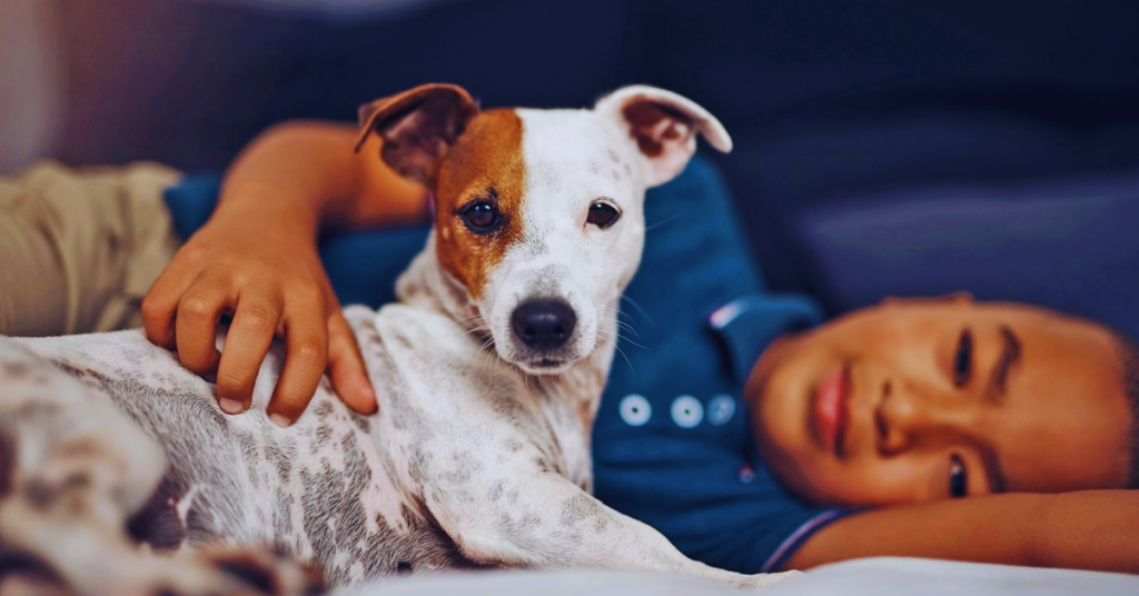 Herausforderungen bei der Hundehaltung