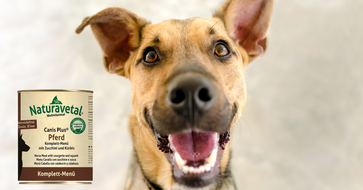 Naturavetal Hundefutter Test